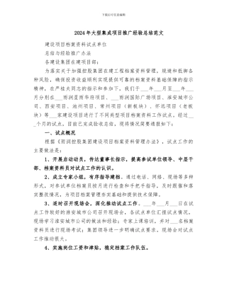 2024年大型集成项目推广经验总结范文