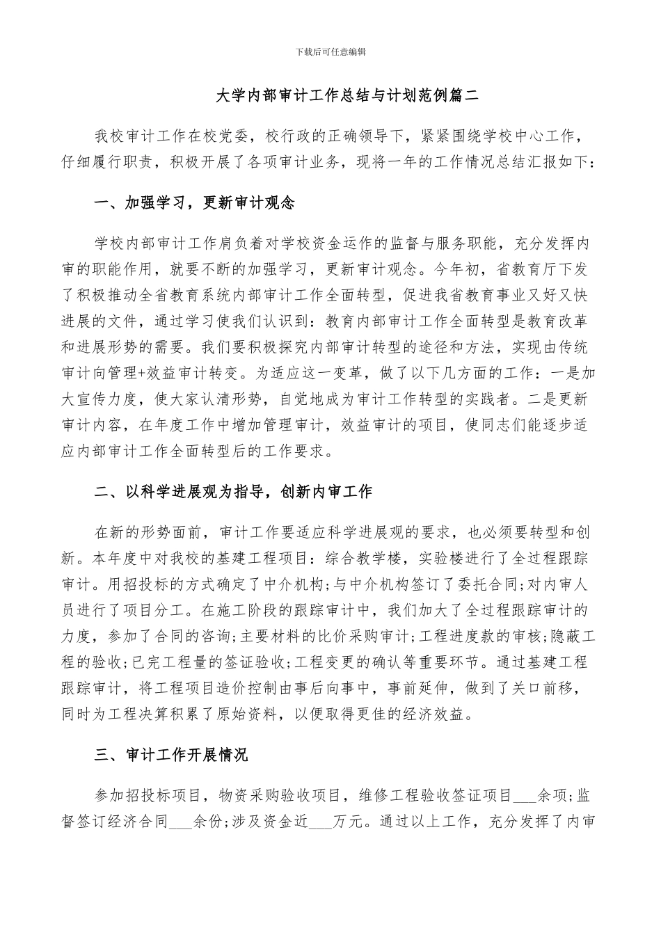 2024年大学内部审计工作总结与计划范例_第3页