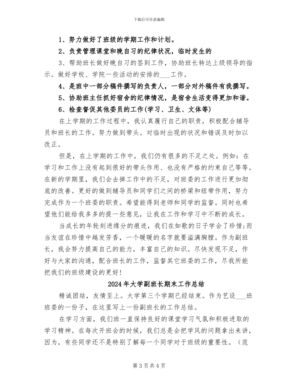 2024年大学副班长年终总结_第3页