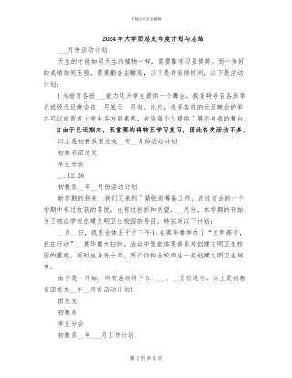 2024年大学团总支年度计划与总结