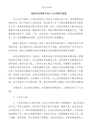 2024年大学实习生个人公司实习总结
