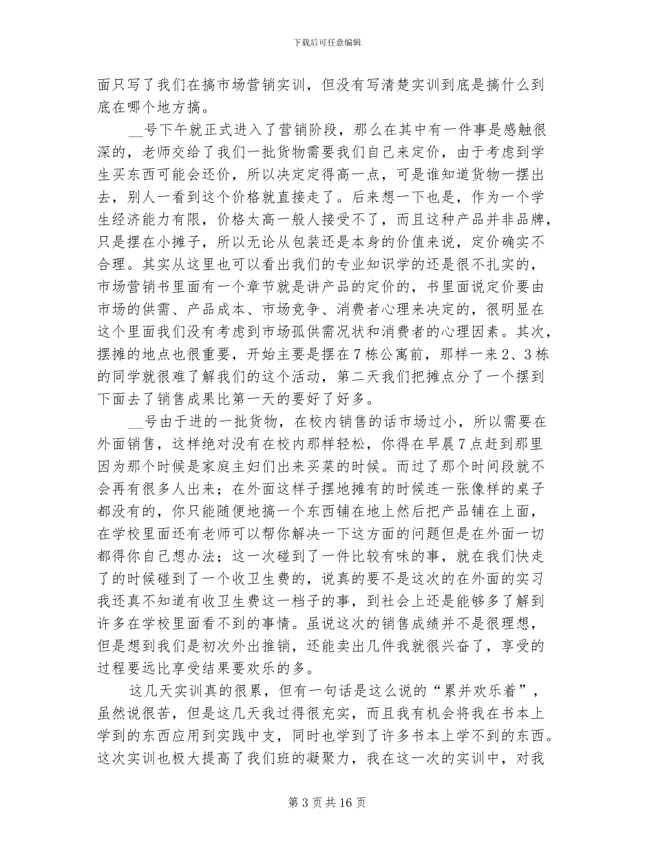 2024年大学市场营销实训个人总结_第3页