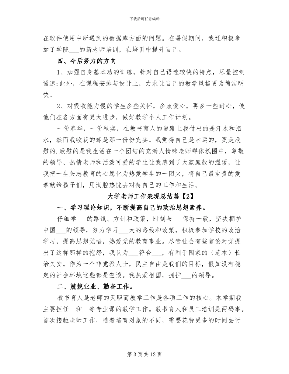 2024年大学教师工作表现总结_第3页