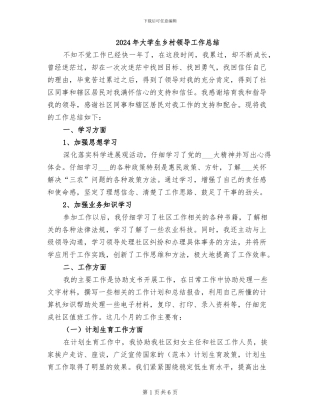 2024年大学生乡村领导工作总结