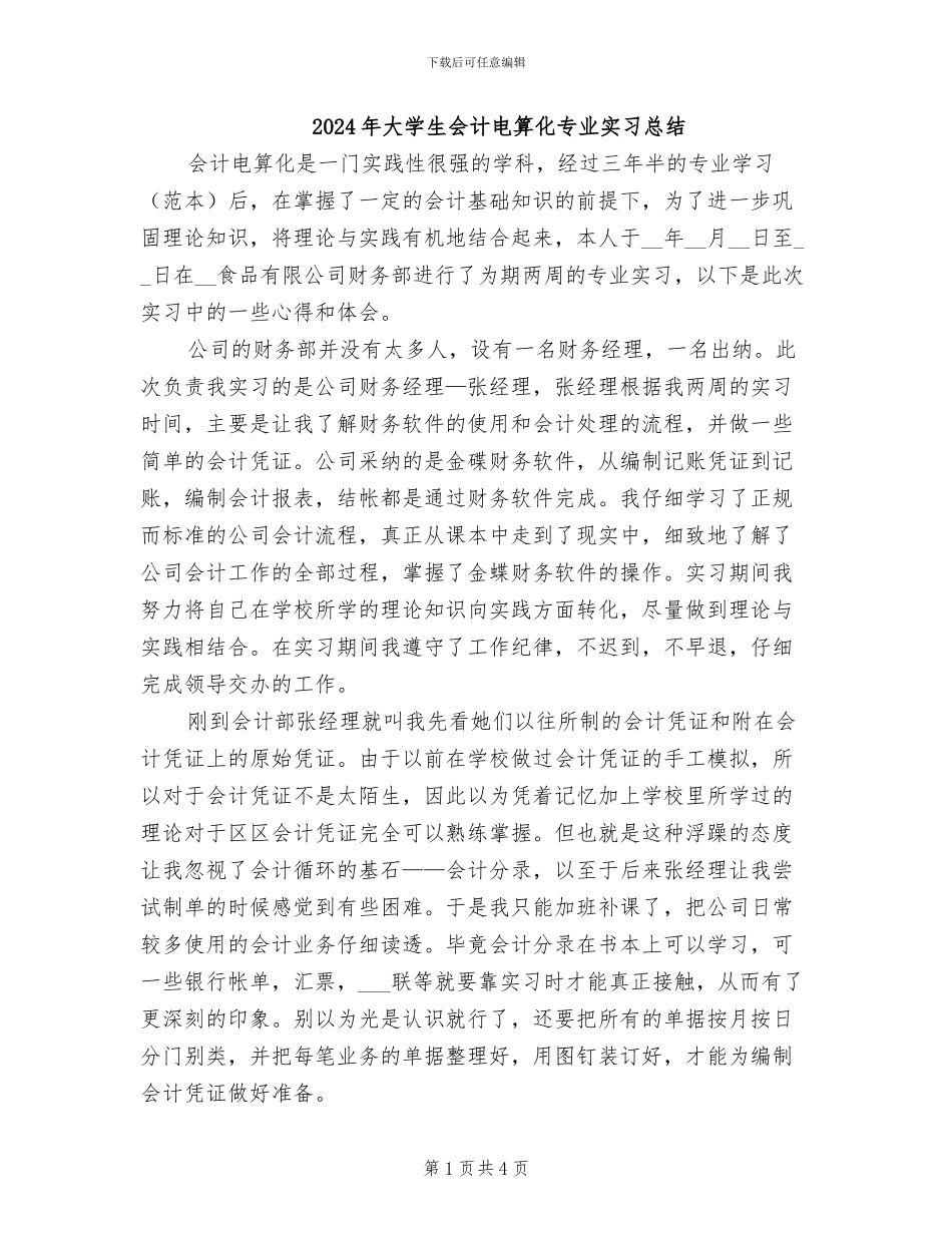 2024年大学生会计电算化专业实习总结_第1页