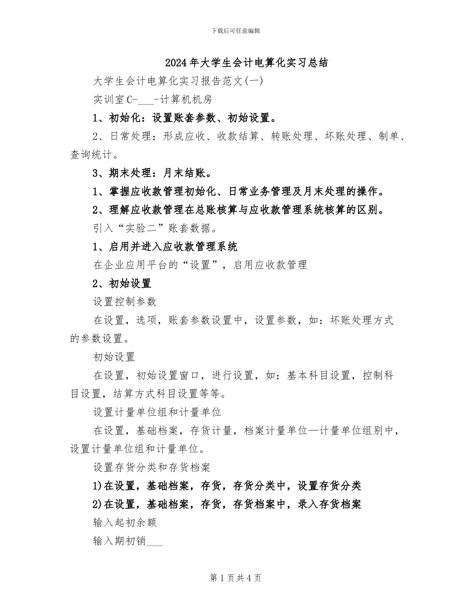 2024年大学生会计电算化实习总结_第1页