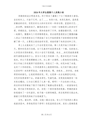 2024年大学生假期个人实践小结