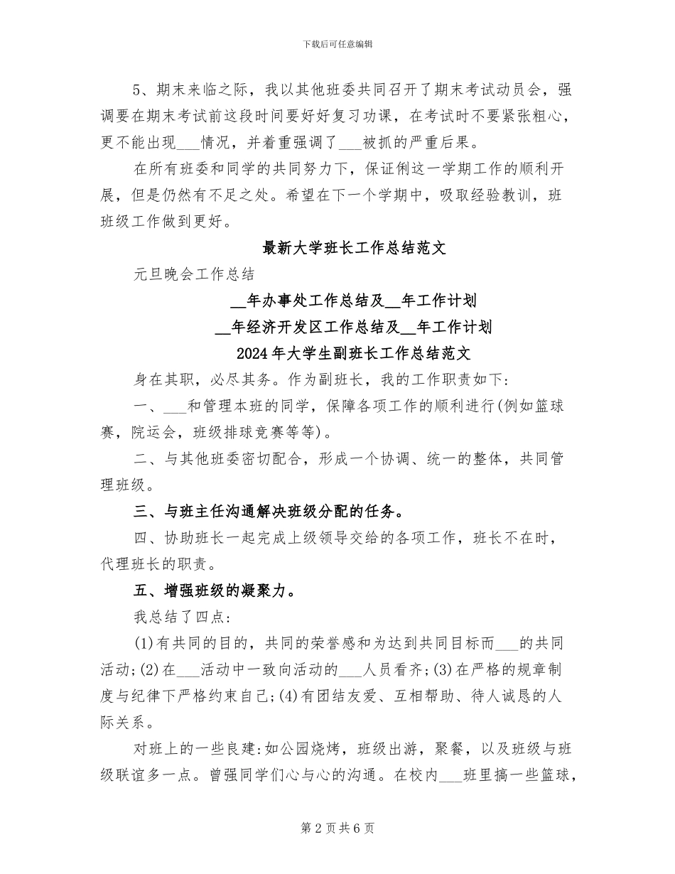 2024年大学生副班长工作总结_第2页