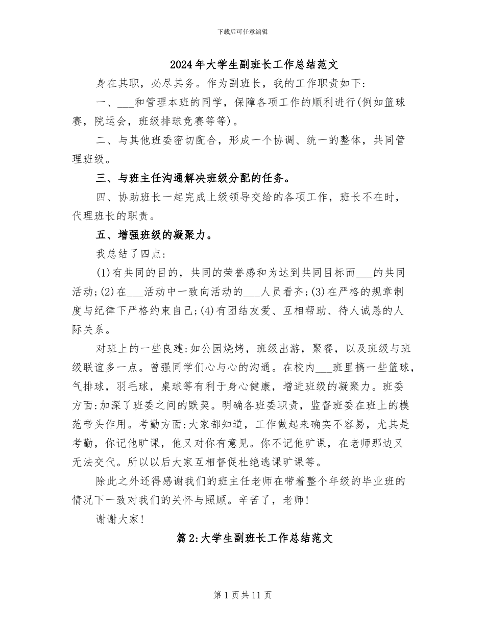 2024年大学生副班长工作总结范文_第1页
