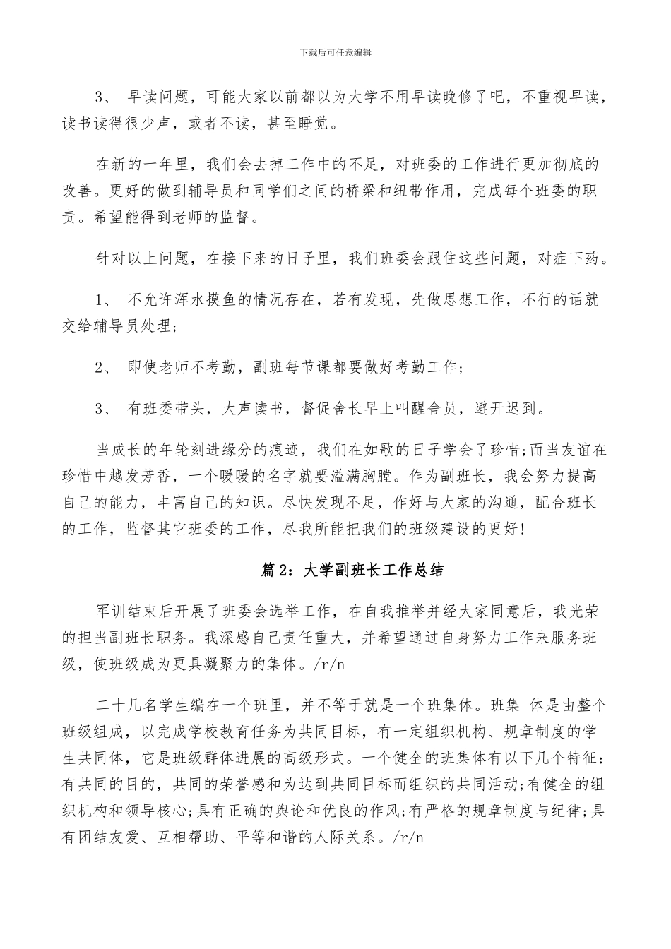 2024年大学生副班长个人总结_第2页