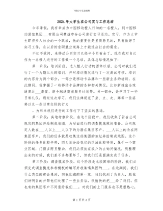 2024年大学生在公司实习工作总结