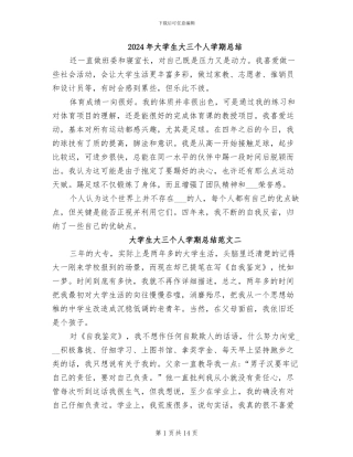 2024年大学生大三个人学期总结