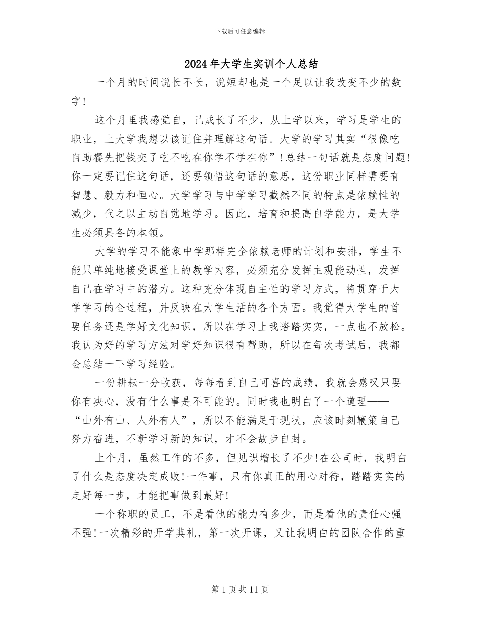 2024年大学生实训个人总结_第1页