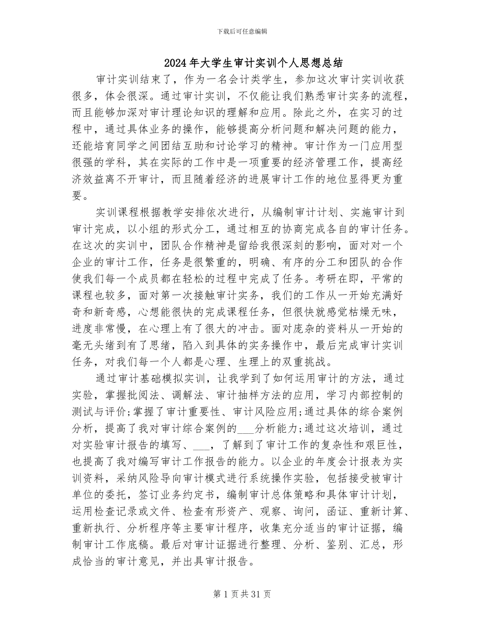 2024年大学生审计实训个人思想总结_第1页