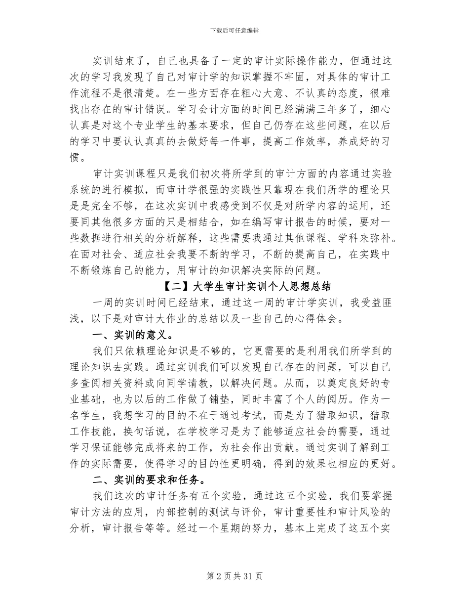 2024年大学生审计实训个人思想总结_第2页