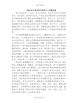 2024年大学生审计实训个人思想总结
