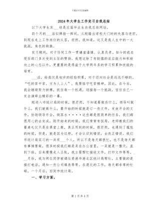2024年大学生工作实习自我总结