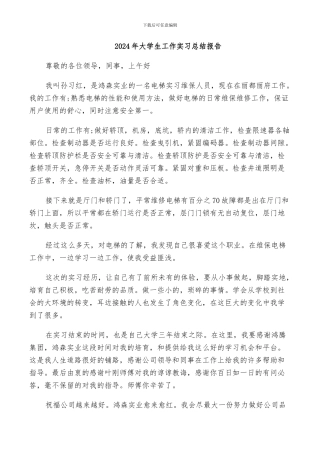 2024年大学生工作实习总结报告