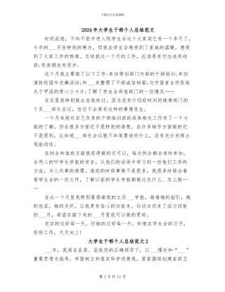 2024年大学生干部个人总结范文