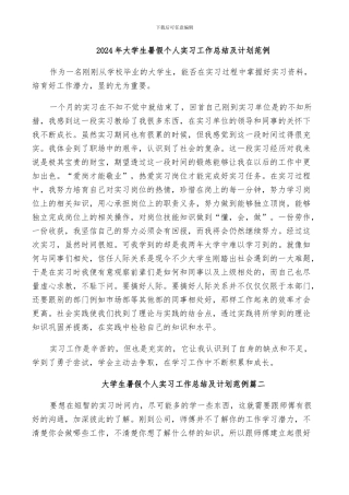 2024年大学生暑假个人实习工作总结及计划范例