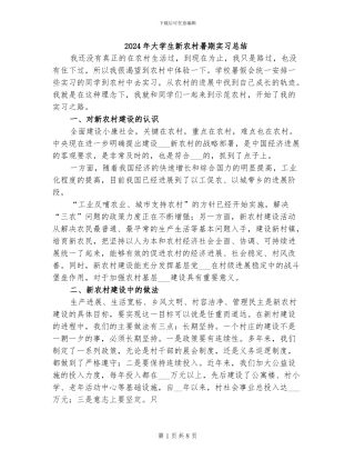 2024年大学生新农村暑期实习总结