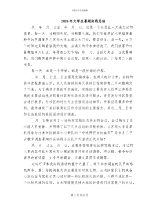 2024年大学生暑期实践总结