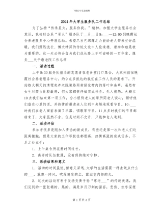 2024年大学生服务队工作总结