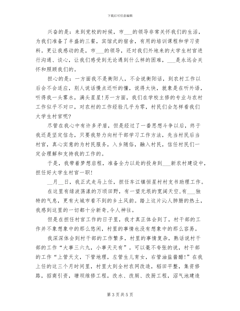 2024年大学生村官年总结_第3页