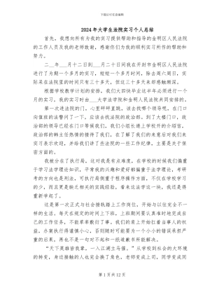 2024年大学生法院实习个人总结