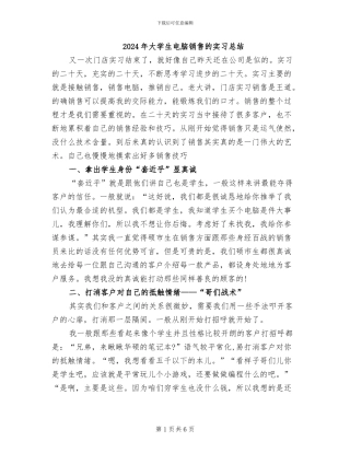 2024年大学生电脑销售的实习总结