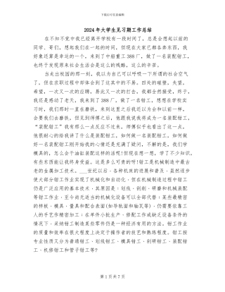 2024年大学生见习期工作总结