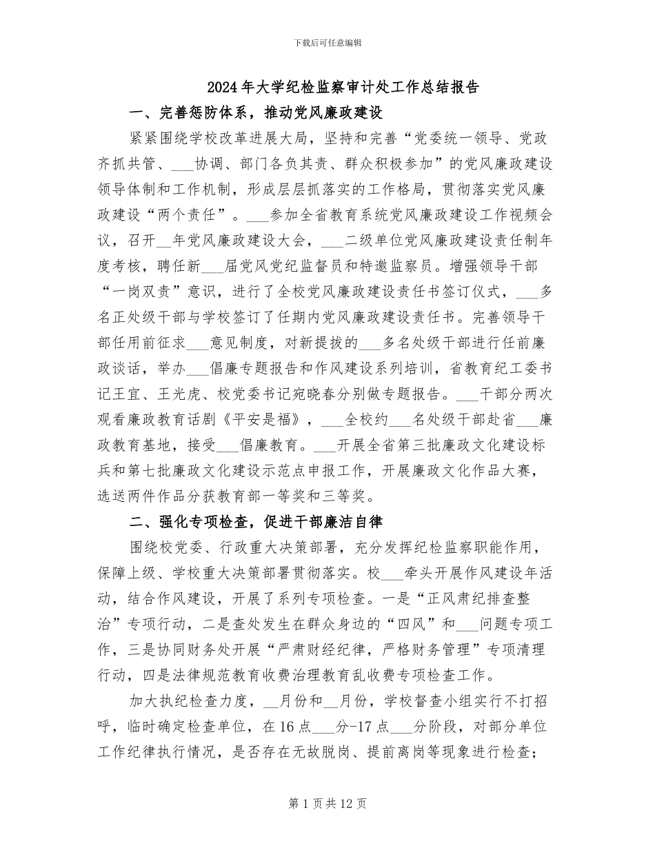 2024年大学纪检监察审计处工作总结报告_第1页