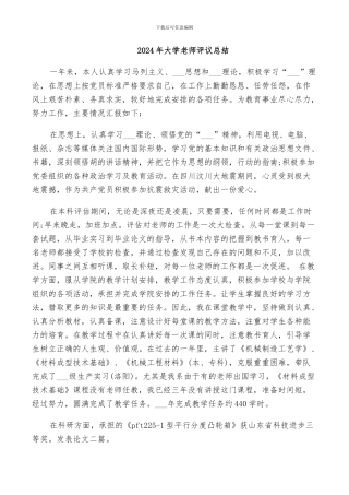 2024年大学老师评议总结