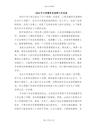 2024年大学辅导员助理工作总结