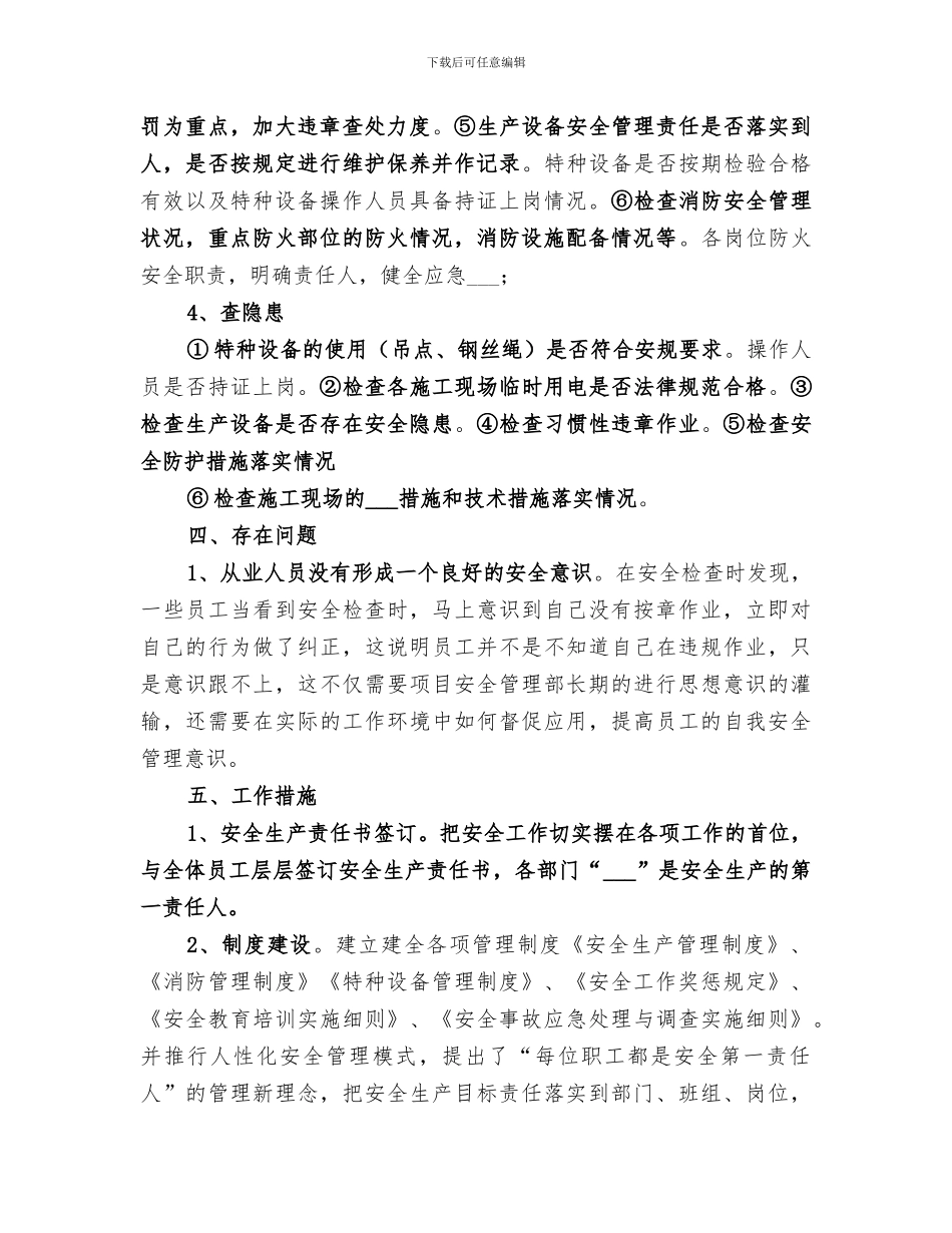 2024年大检查大整治安全工作总结_第2页