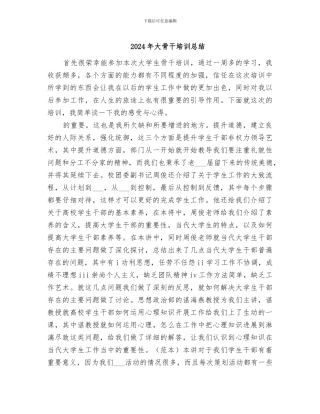 2024年大骨干培训总结