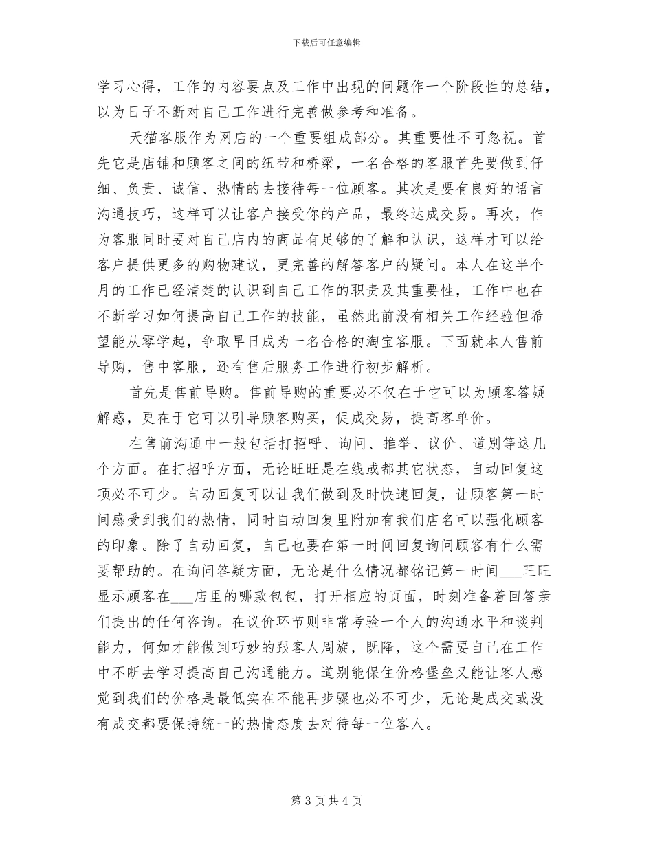 2024年天猫客服年终个人工作总结_第3页