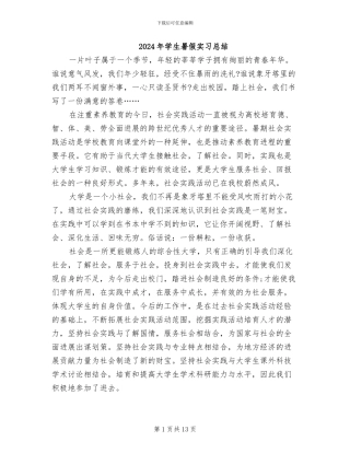 2024年学生暑假实习总结