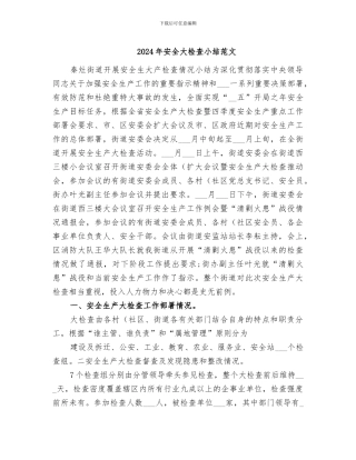 2024年安全大检查小结范文