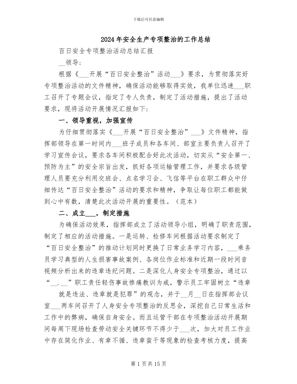 2024年安全生产专项整治的工作总结_第1页