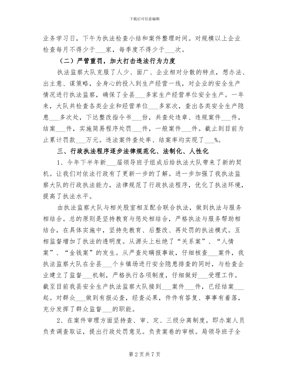 2024年安全生产执法监察大队工作总结_第2页