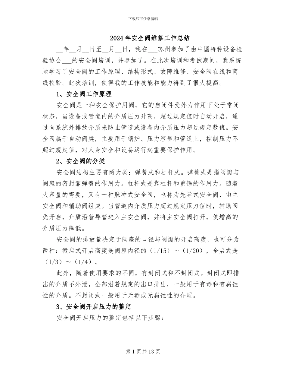 2024年安全阀维修工作总结_第1页