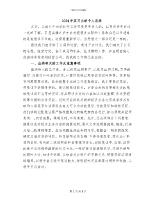 2024年实习出纳个人总结