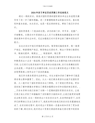 2024年实习单证员试用期工作总结范文