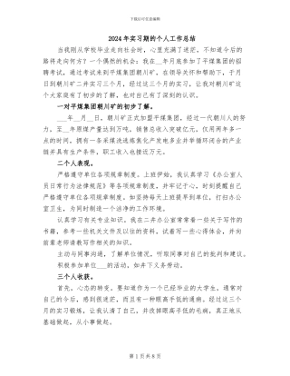 2024年实习期的个人工作总结