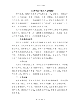 2024年实习生个人总结报告