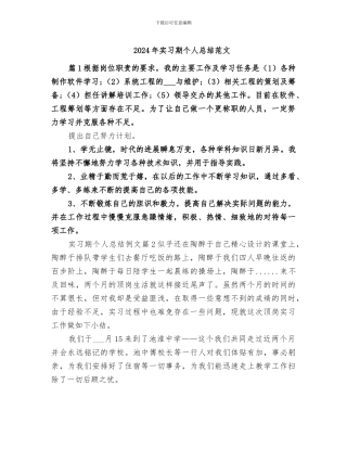 2024年实习期个人总结范文