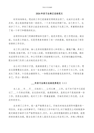 2024年实习生转正总结范文