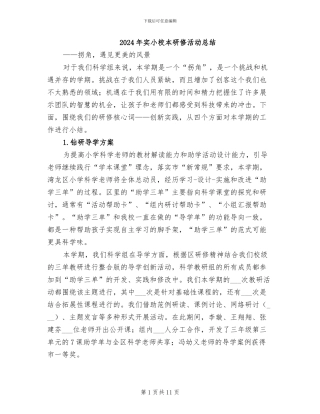 2024年实小校本研修活动总结