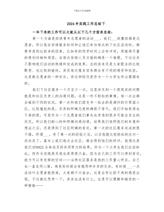 2024年实践工作总结下